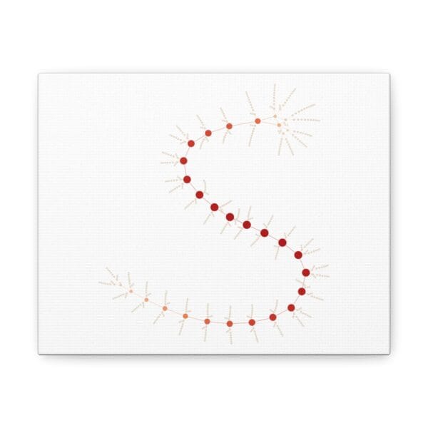Canvas Gallery Wraps - MarrellaNet: External Morphology of Marrella Abstracted as Network - Image 5