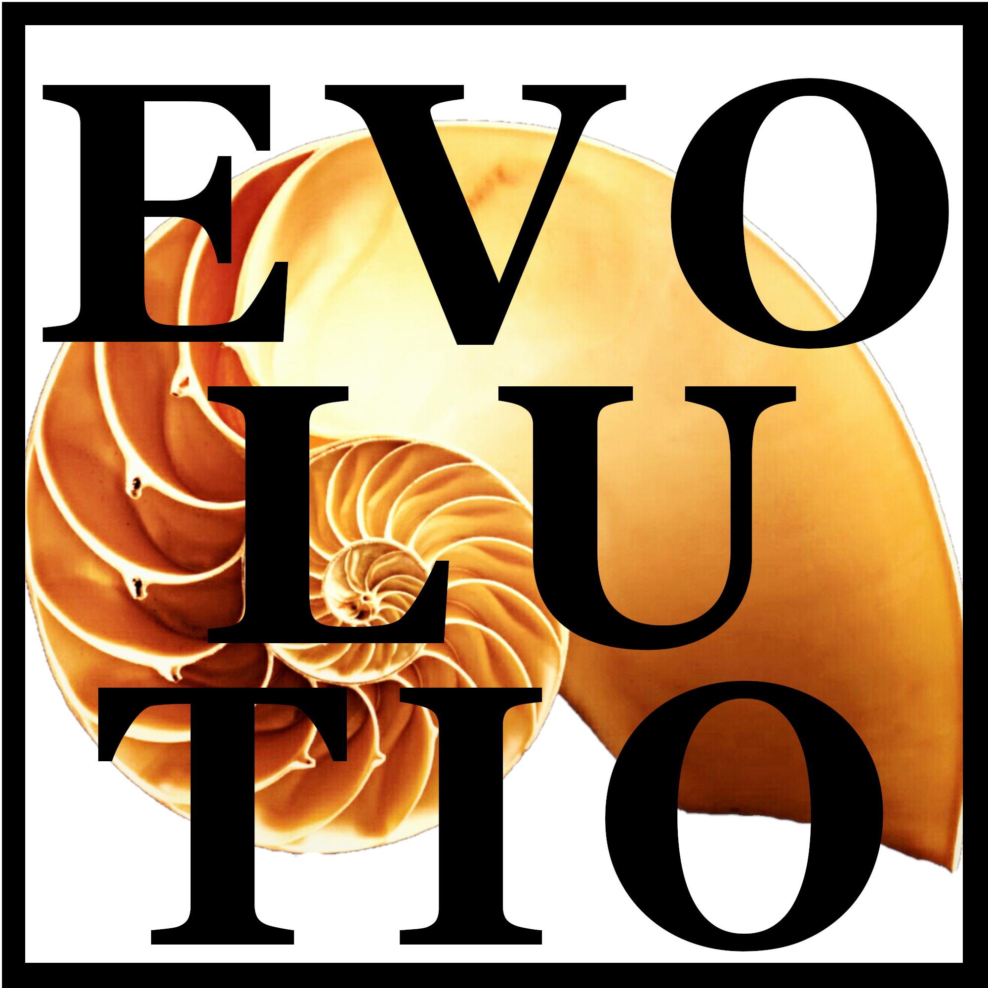 EVOLUTIO
