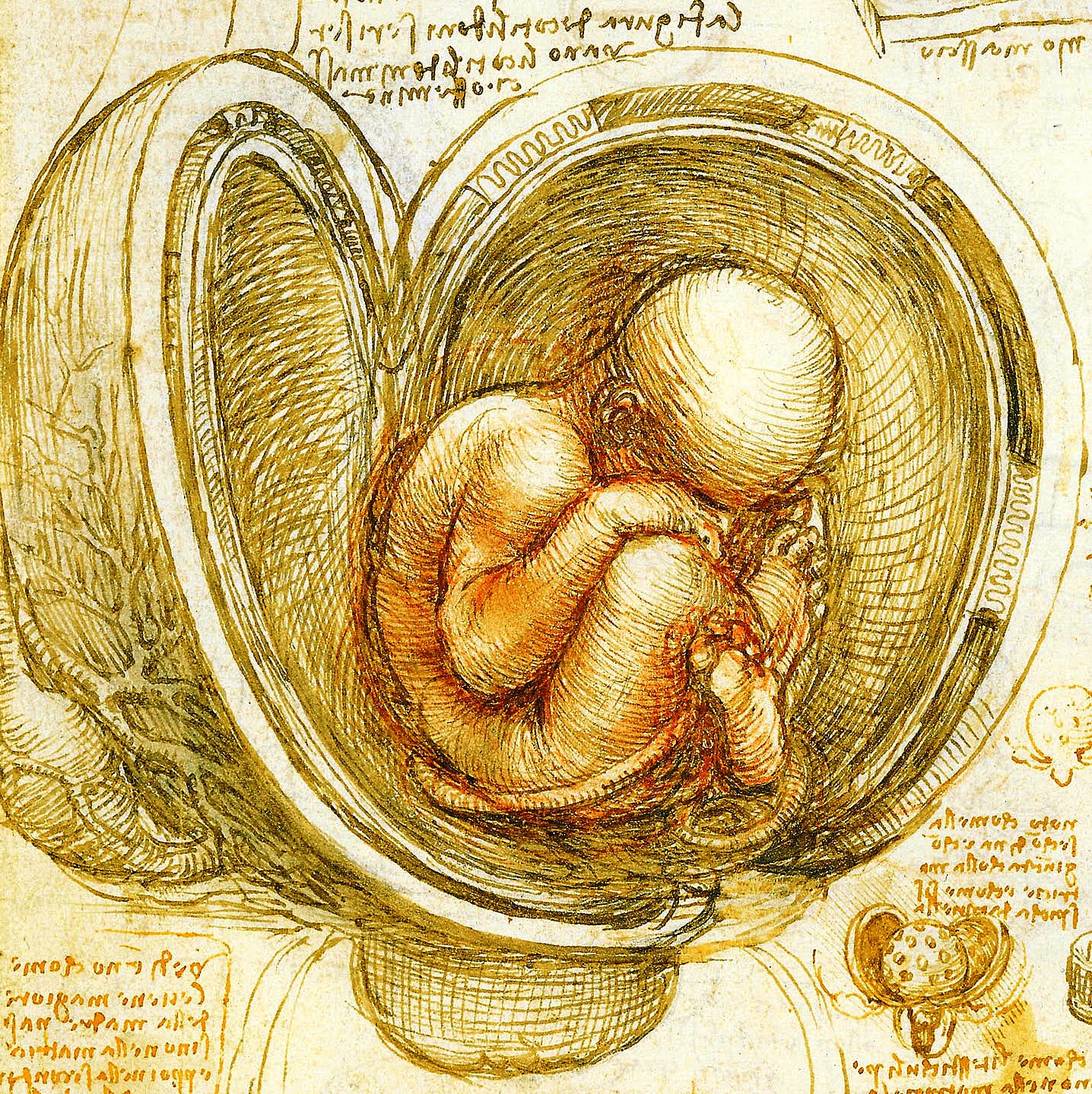 The Unfolding of a New Vision of Life, Cosmos and Evolution 2 The Unfolding of a New Vision of Life, Cosmos and Evolution