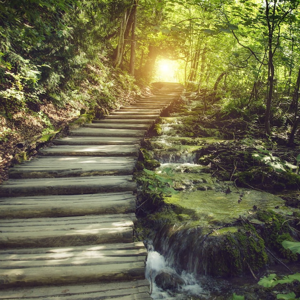 The Path of Life 1 The Path of Life